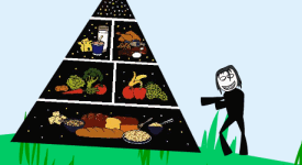 Food Pyramid (Flash Video)